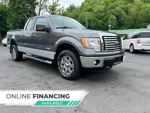 2011 Ford F-150 for sale at EZ Auto Group LLC in Burnham PA