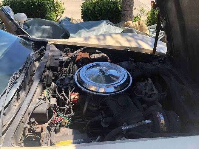 1981 Chevrolet Corvette