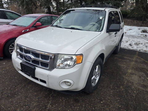 2011 Ford Escape XLT
