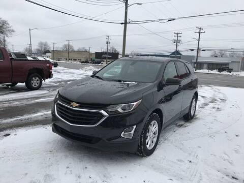 2018 Chevrolet Equinox for sale at FAB Auto Inc in Roseville MI