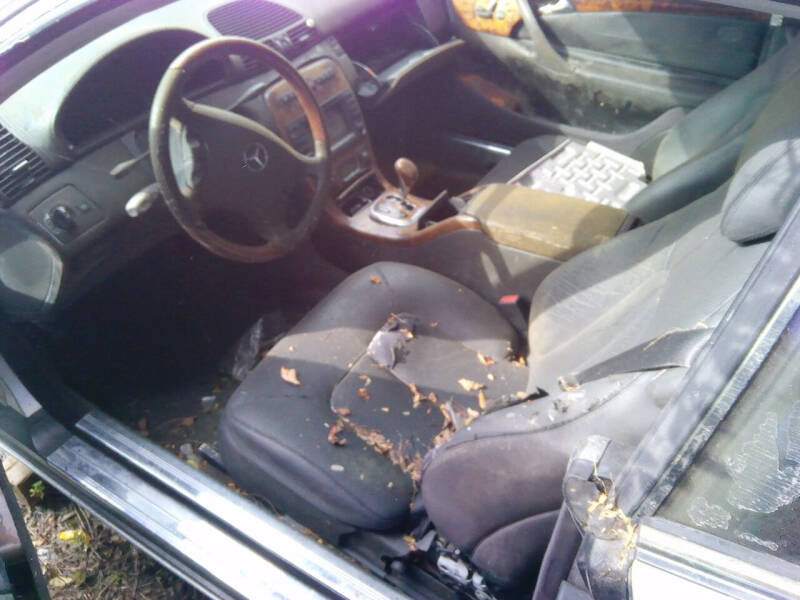 2003 Mercedes-Benz CL-Class CL 500