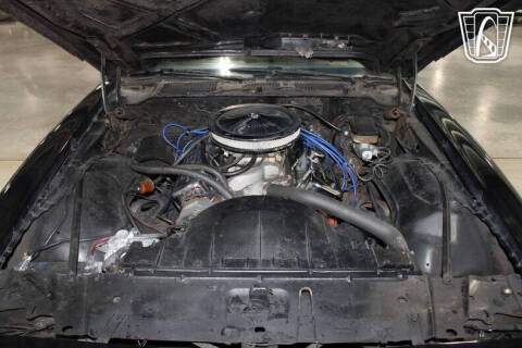 1981 Pontiac Firebird Trans Am