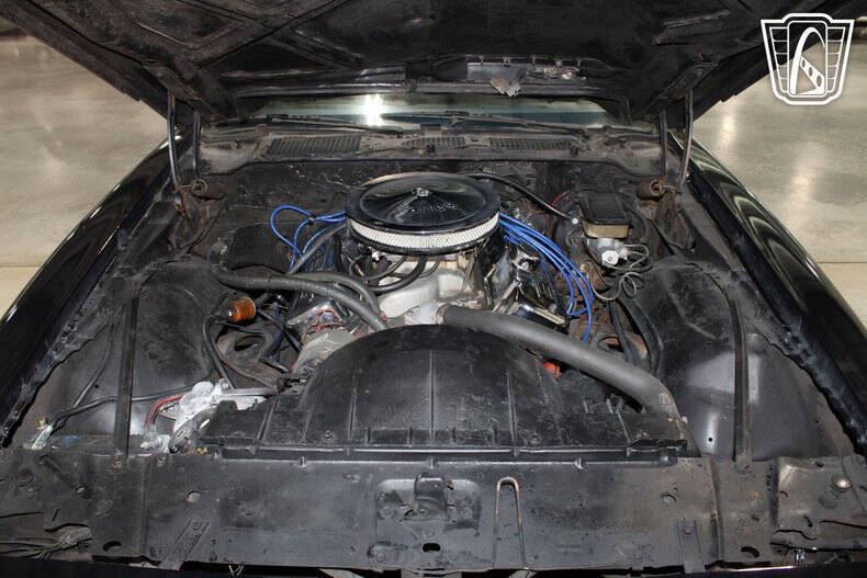 1981 Pontiac Firebird Trans Am