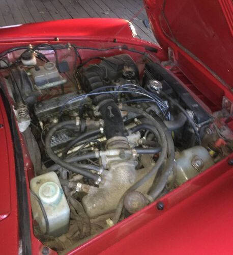 1987 Alfa Romeo Spider