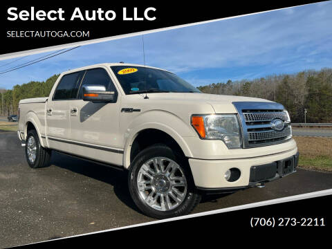 2009 Ford F-150 for sale at Select Auto LLC in Ellijay GA