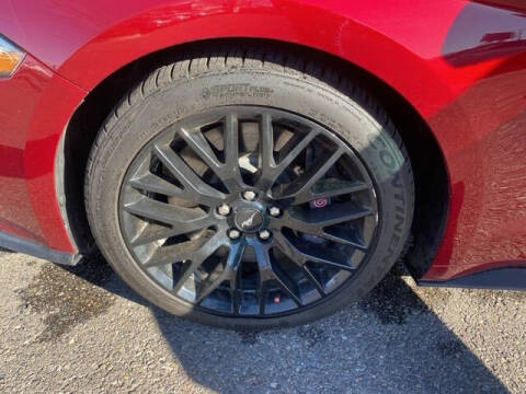 2019 Ford Mustang GT Premium