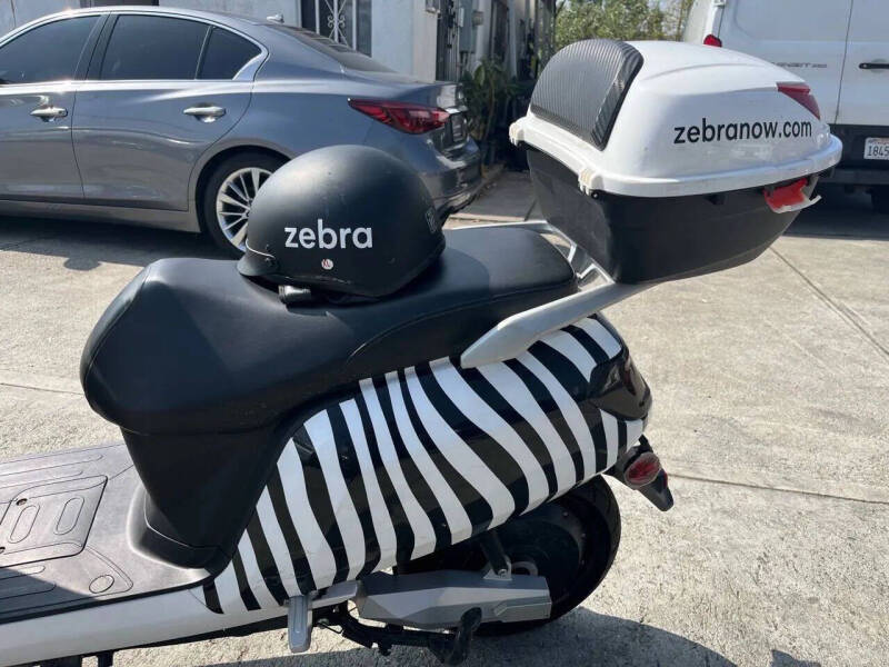 2020 Zebra E-bike