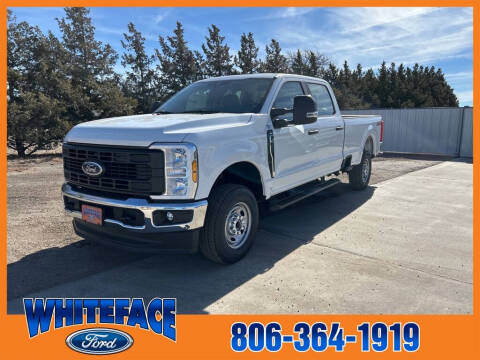 2025 Ford F-250 Super Duty for sale at Whiteface Ford in Hereford TX