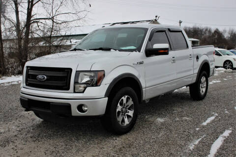 2014 Ford F-150 for sale at Low Cost Cars in Circleville OH