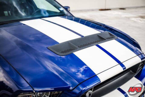 2013 Ford Shelby GT500