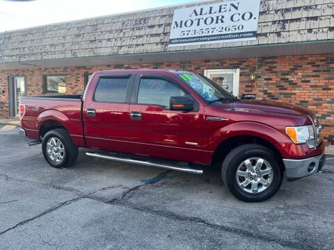 2013 Ford F-150 for sale at Allen Motor Company in Eldon MO