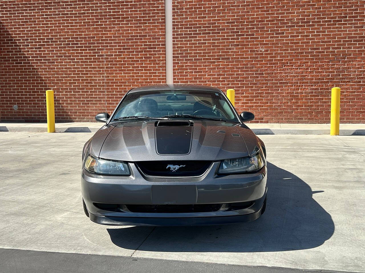 2003 Ford Mustang for sale at R&G Auto Sales in Tujunga, CA