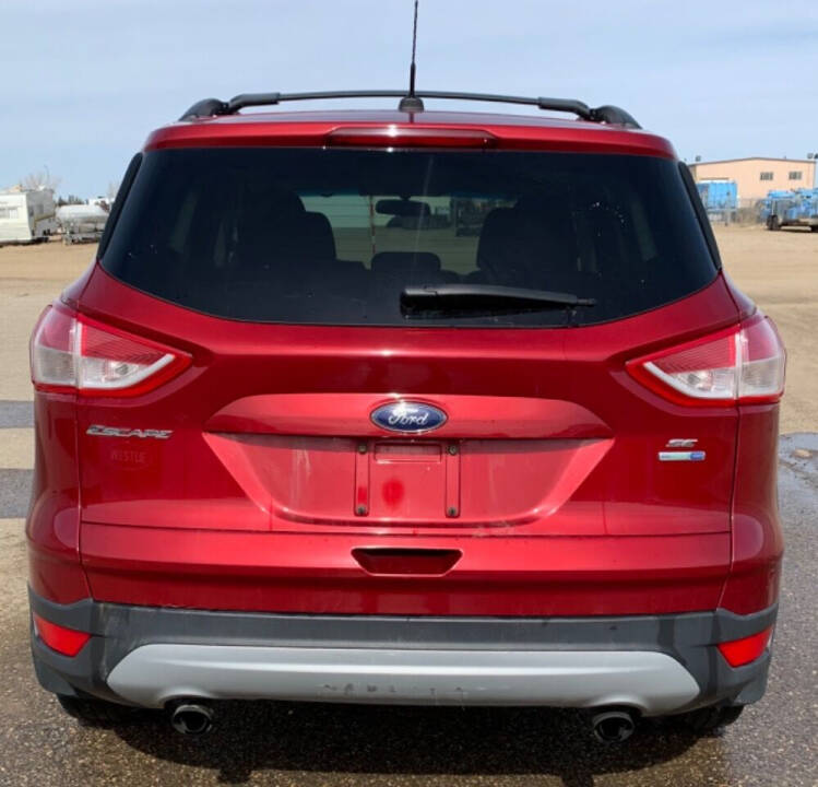 2013 Ford Escape for sale at Freedom Motors in Minot, ND