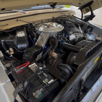1979 Ford F-150