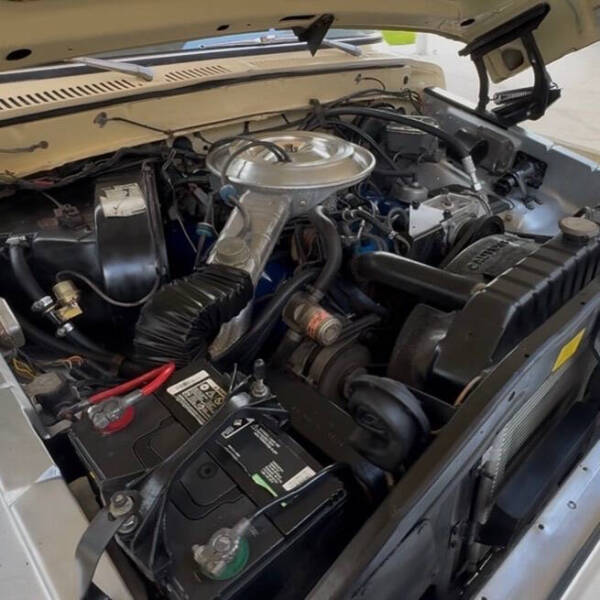 1979 Ford F-150