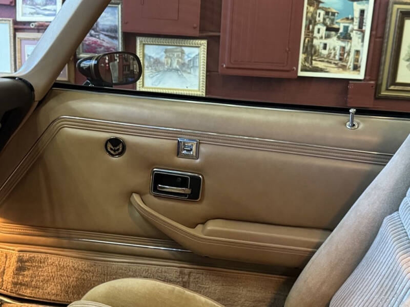 1981 Pontiac Firebird Trans Am