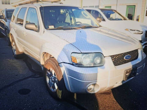 2006 Ford Escape for sale at CRYSTAL MOTORS SALES in Rome NY