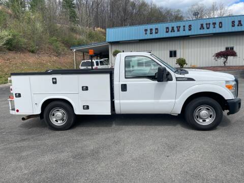 2015 Ford F-250 Super Duty for sale at Ted Davis Auto Sales in Riverton WV