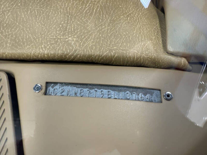 1981 Pontiac Firebird Trans Am