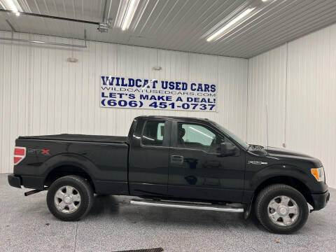 2010 Ford F-150 for sale at Wildcat Used Cars in Somerset KY