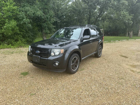 2011 Ford Escape XLT