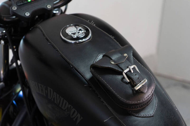 2016 Harley-Davidson Iron 883