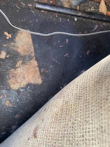 1973 Volkswagen Super Beetle