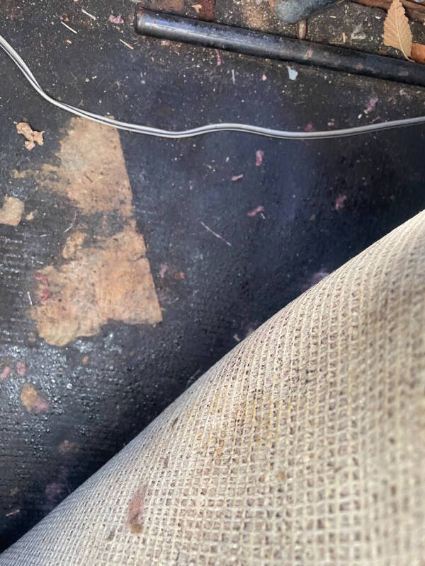 1973 Volkswagen Super Beetle