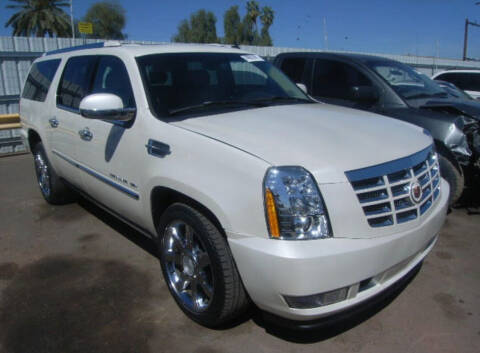 2010 Cadillac Escalade ESV for sale at New Tampa Auto in Tampa FL