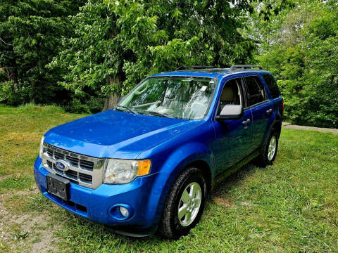 2011 Ford Escape for sale at GOLDEN RULE AUTO in Newark OH