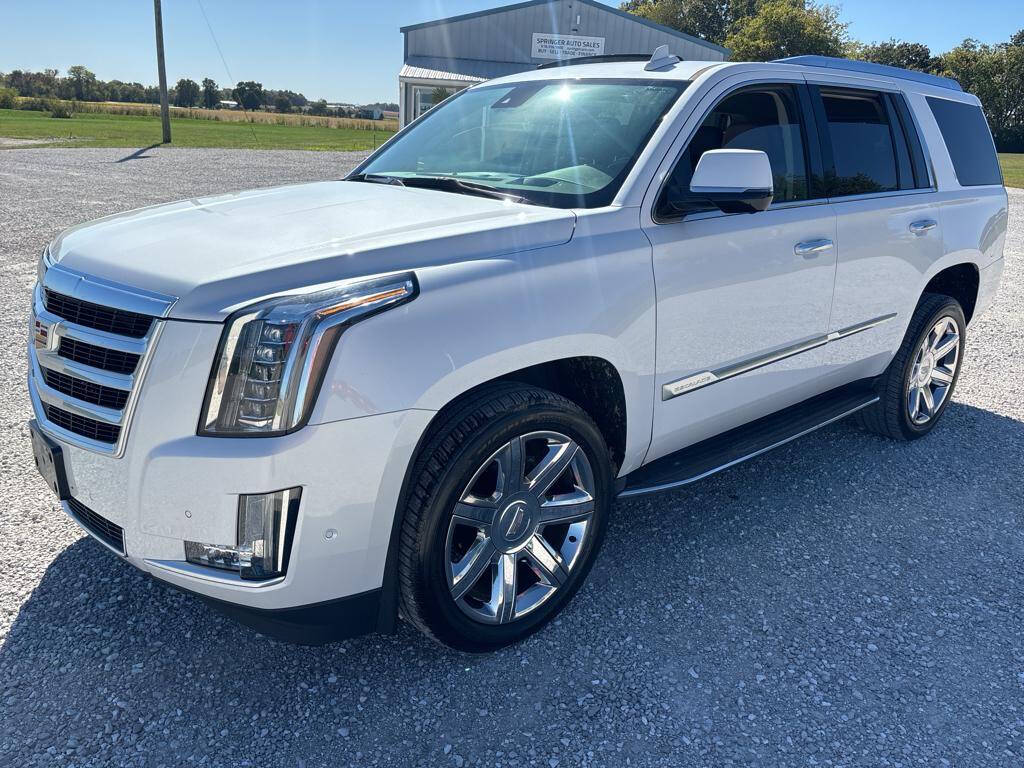 2017 Cadillac Escalade for sale at Springer Auto Sales in Waterloo, IL