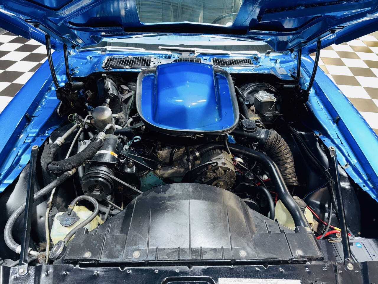 1978 Pontiac Trans Am 6