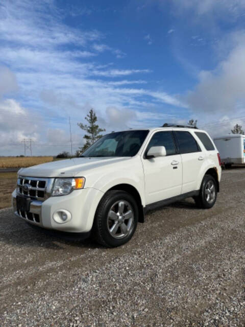 2010 Ford Escape for sale at Maahs Motors in Becker, MN