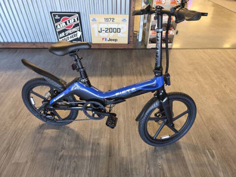 2026 BLAUPUNKT EBIKE