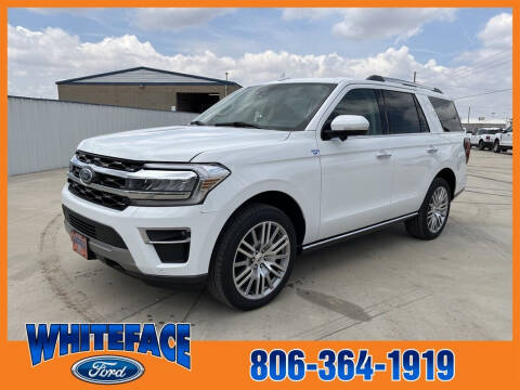 2023 Ford Expedition for sale at Whiteface Ford in Hereford TX