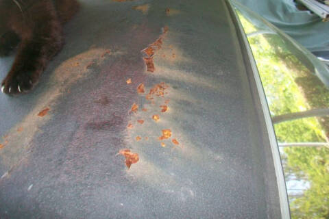 1964 Plymouth Valiant