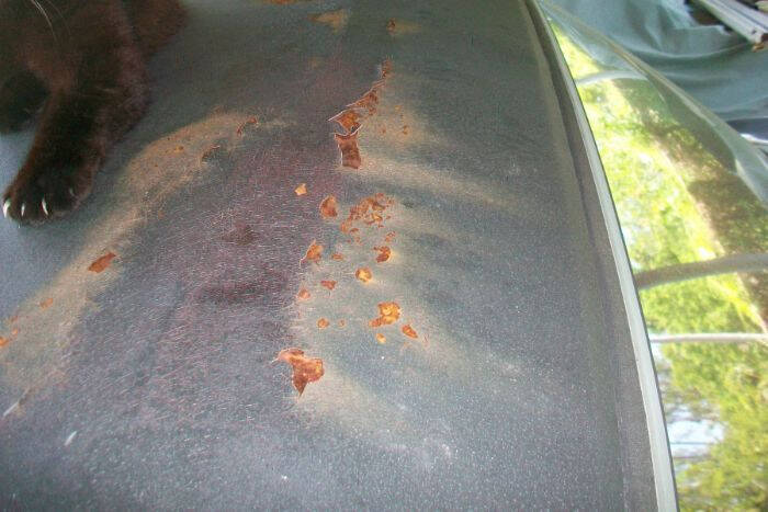 1964 Plymouth Valiant