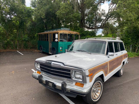 1989 Jeep Grand Wagoneer for sale at ManyEcars.com in Mount Dora FL