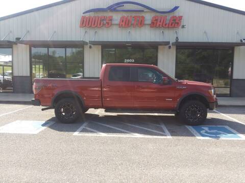2011 Ford F-150 for sale at DOUG'S AUTO SALES INC in Pleasant View TN