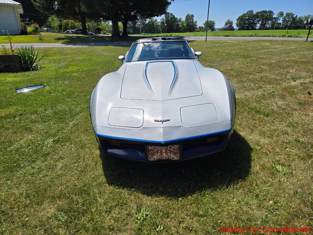 1981 Chevrolet Corvette 8