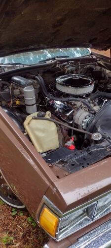 1979 Chevrolet Caprice