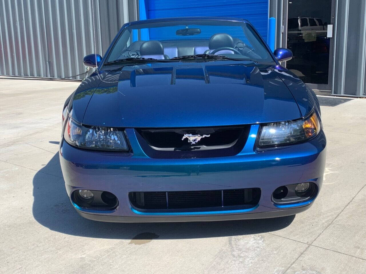 2004 Ford Mustang SVT Cobra for sale at MidAmerica Muscle Cars in Olathe, KS