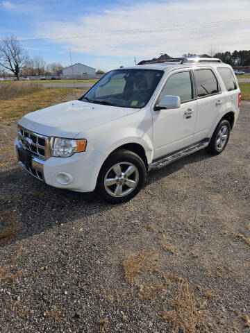 2012 Ford Escape for sale at D & T AUTO INC in Columbus MN