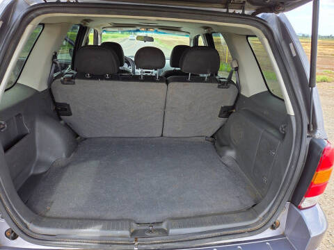 2007 Ford Escape XLT
