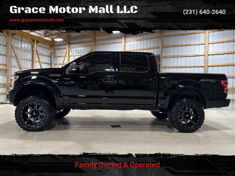 2018 Ford F-150 for sale at Grace Motor Mall LLC in Traverse City MI