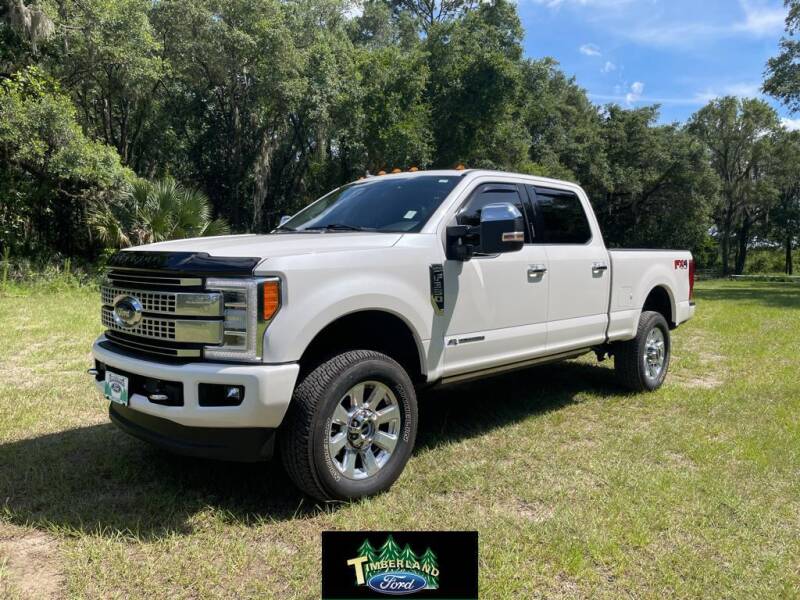2019 Ford F-350 Super Duty for sale at TIMBERLAND FORD in Perry FL