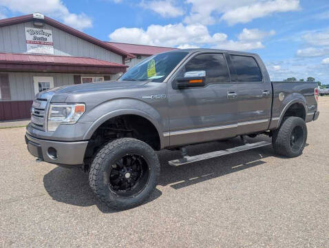 2013 Ford F-150 Platinum