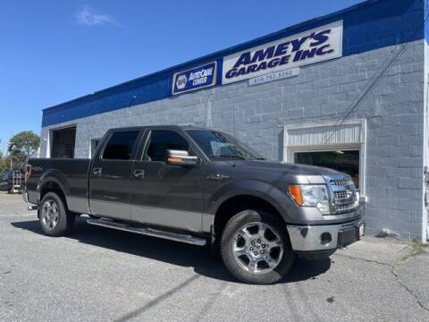 2014 Ford F-150 for sale at Amey's Garage Inc in Cherryville PA