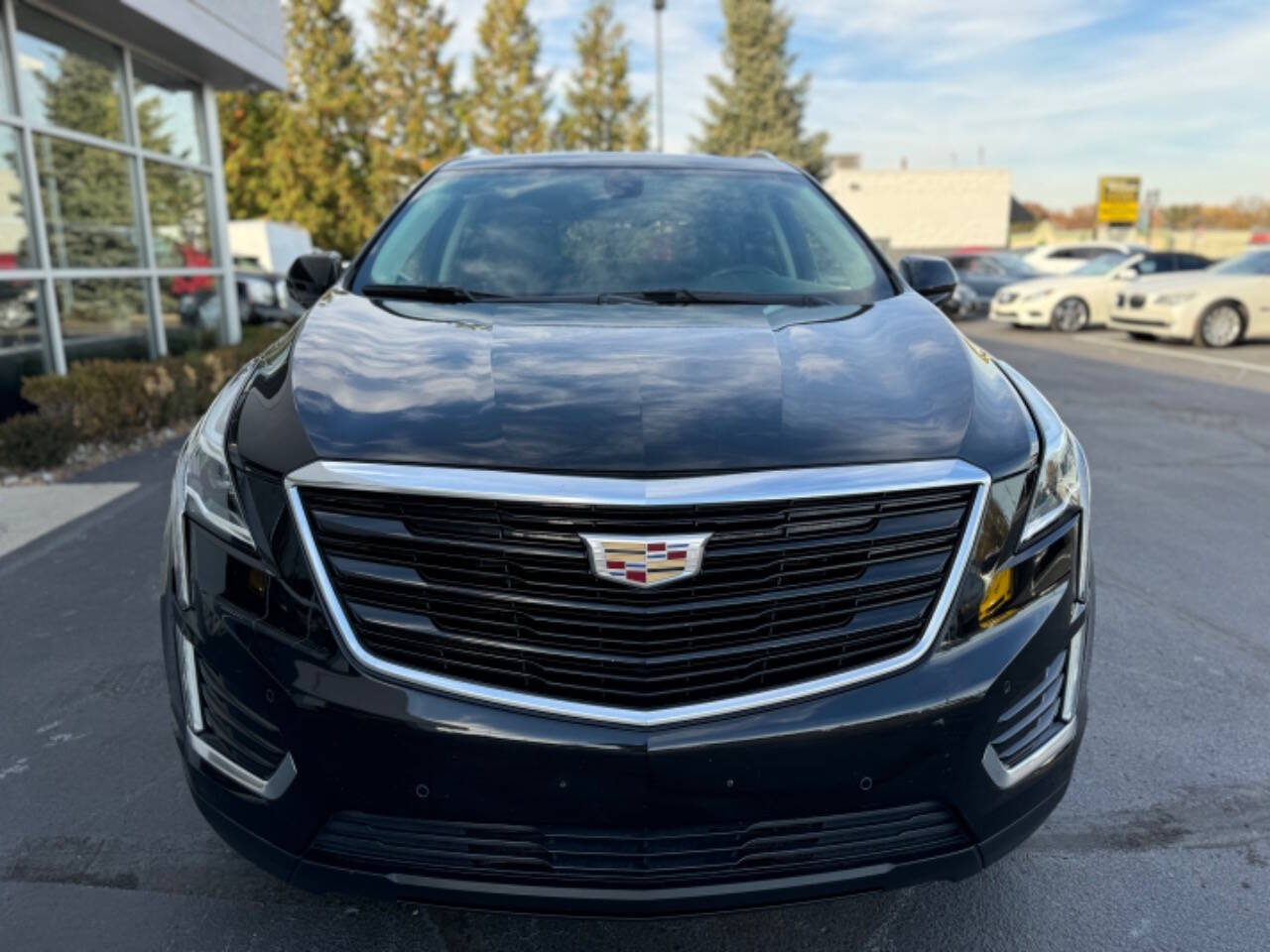 2019 Cadillac XT5 for sale at Opus Motorcars in Utica, MI