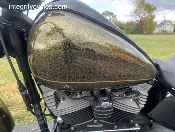 2013 Harley-Davidson FXS Blackline